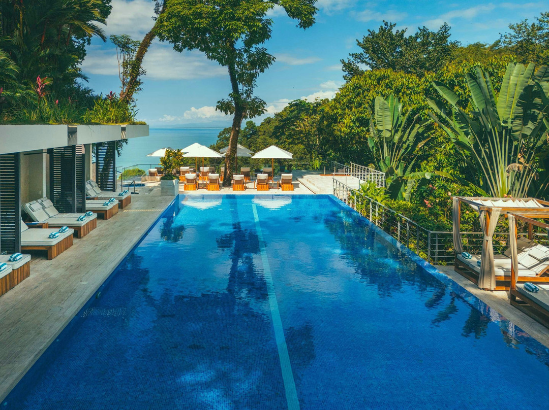 哥斯达黎加安东尼奥国家公园酒店住宿-Los Altos Resort