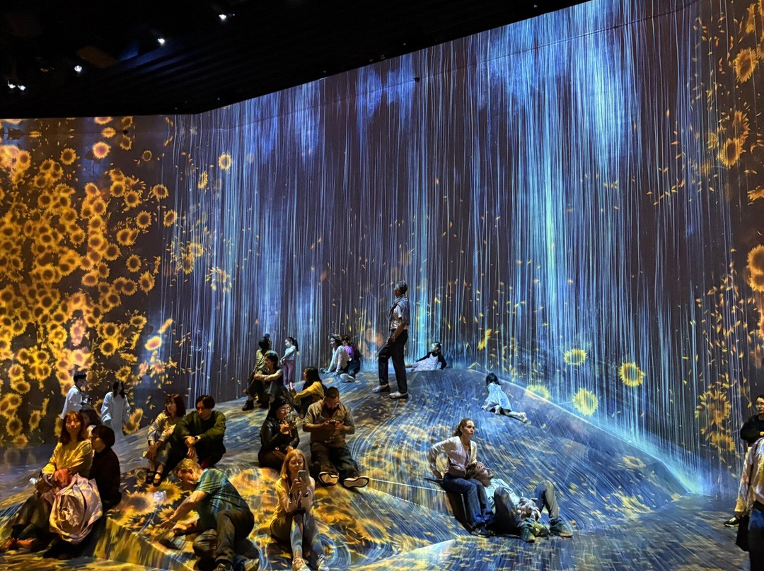 Teamlab Borderless Tokyo-港区必去景点