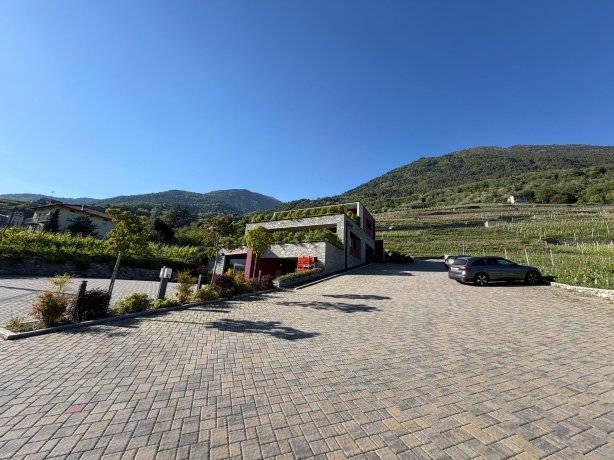 Nebbiolo Wine B&B-旅行者