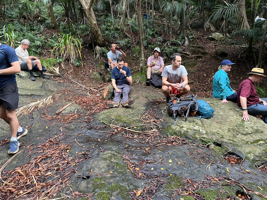 Mt Gower-豪勋爵群岛必去景点