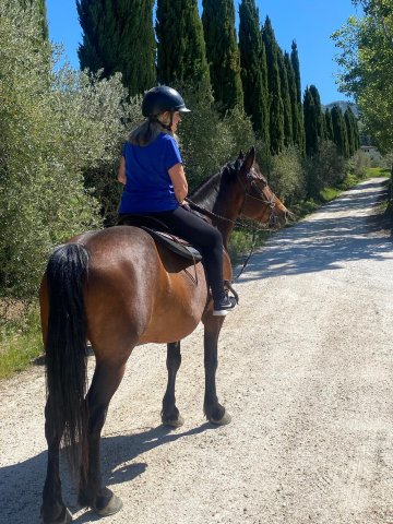 Podere GIUSTI-旅行者