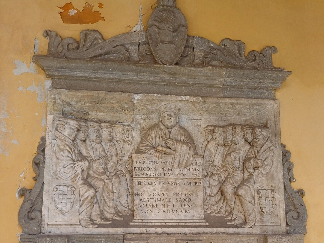 Pavia University History Museum-帕维亚必去景点