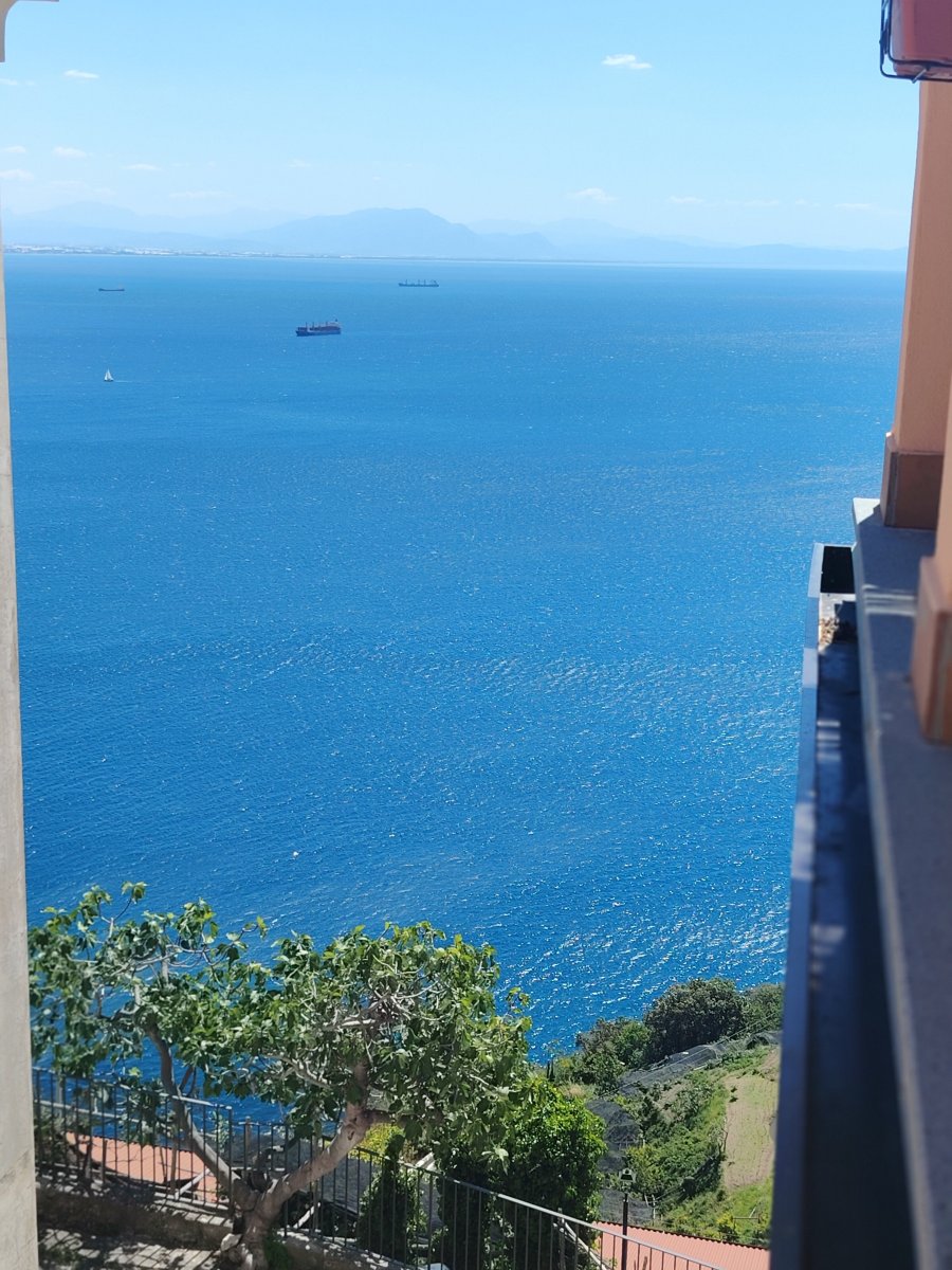 Il Glicine-旅行者