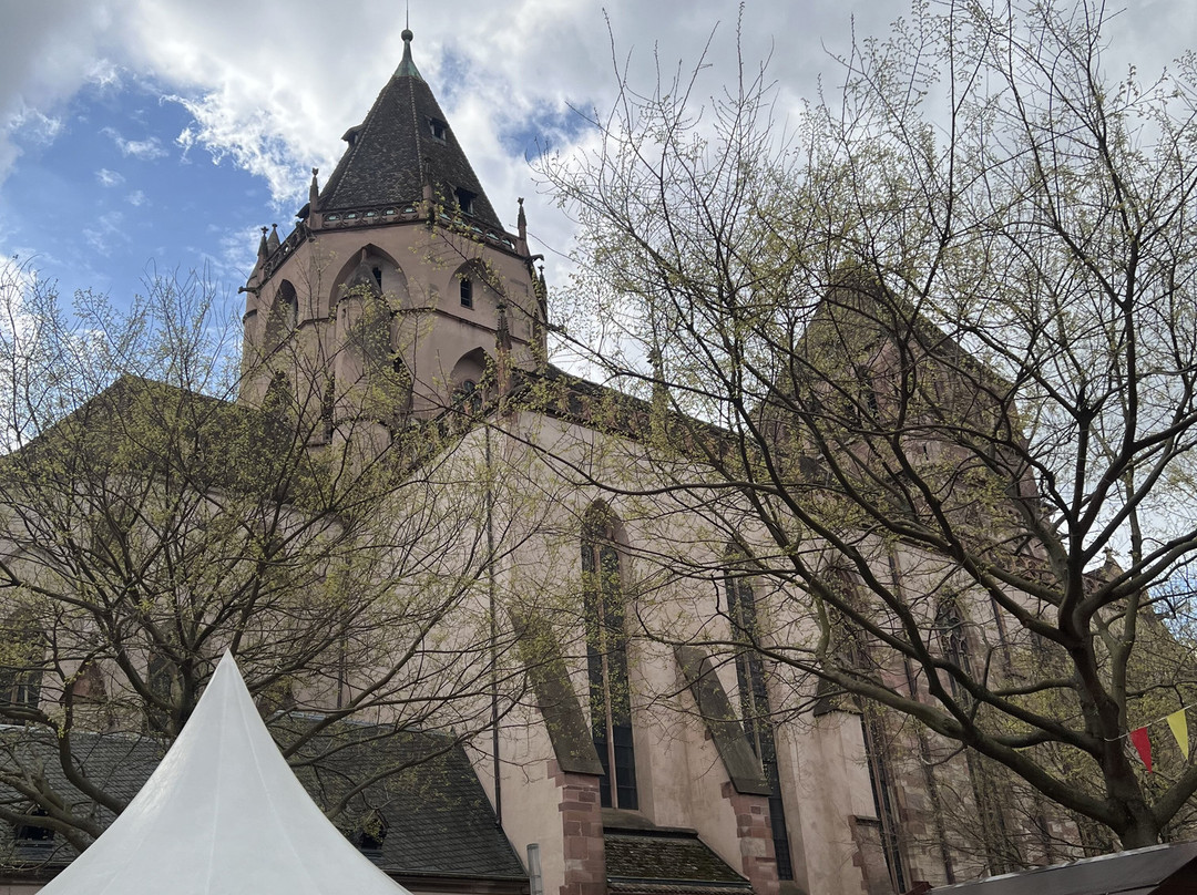 Église Saint-Thomas-斯特拉斯堡必去景点