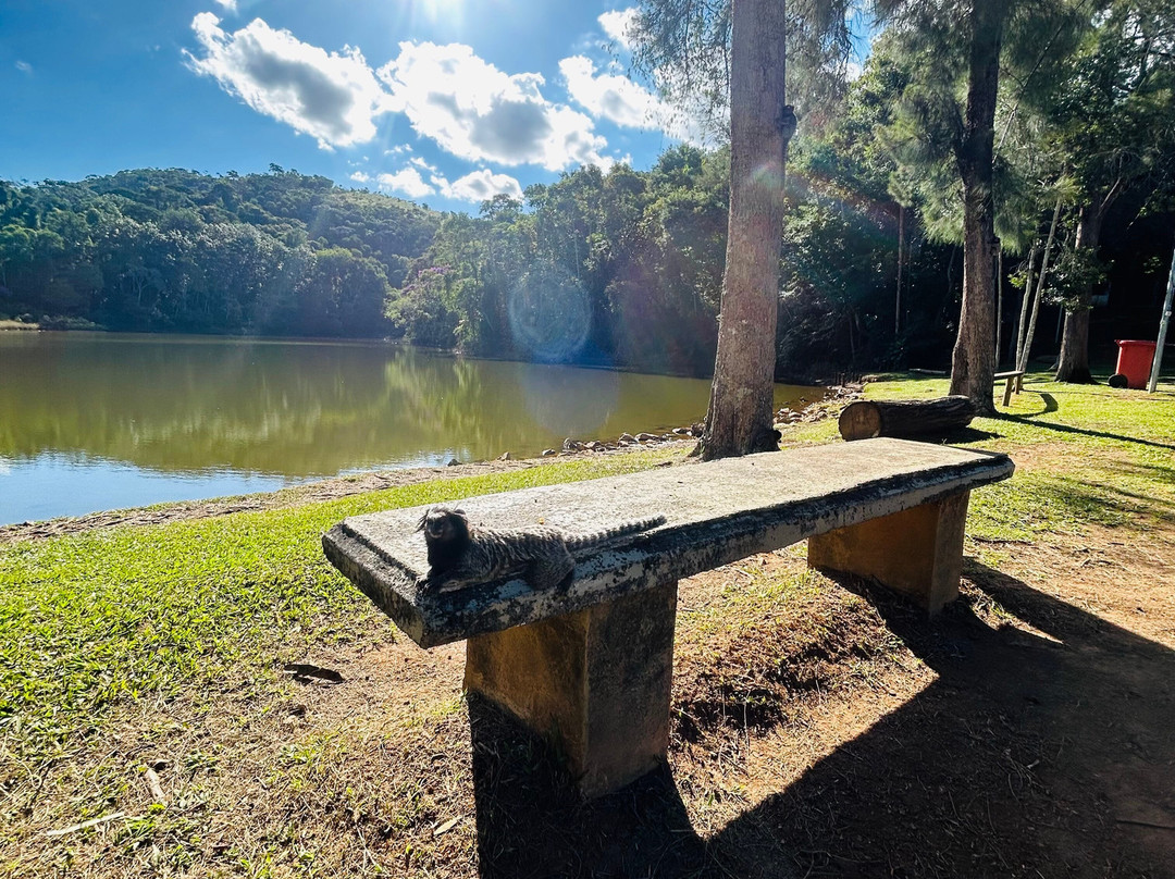 Parque da Lajinha-Juiz de Fora必去景点