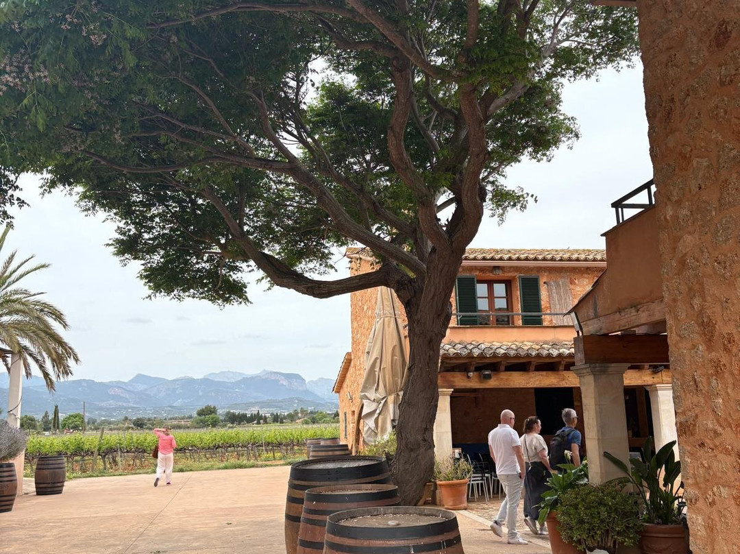 Bodegas Angel-Santa Maria del Cami必去景点