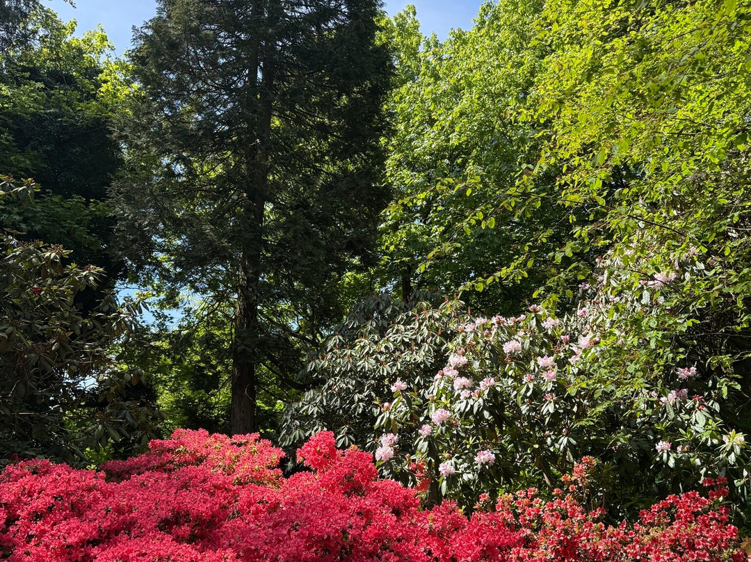 Sheringham Park-Sheringham必去景点