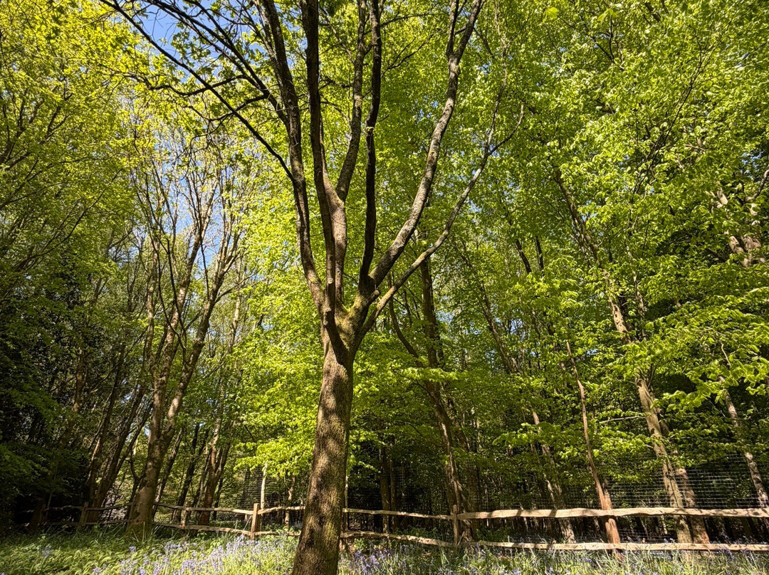 Emmetts Garden-Sevenoaks必去景点