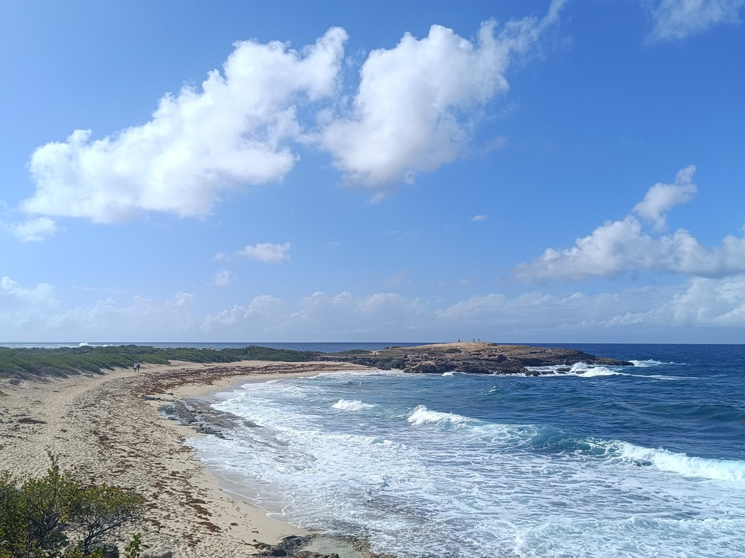Pointe des Chateaux-Saint Francois必去景点