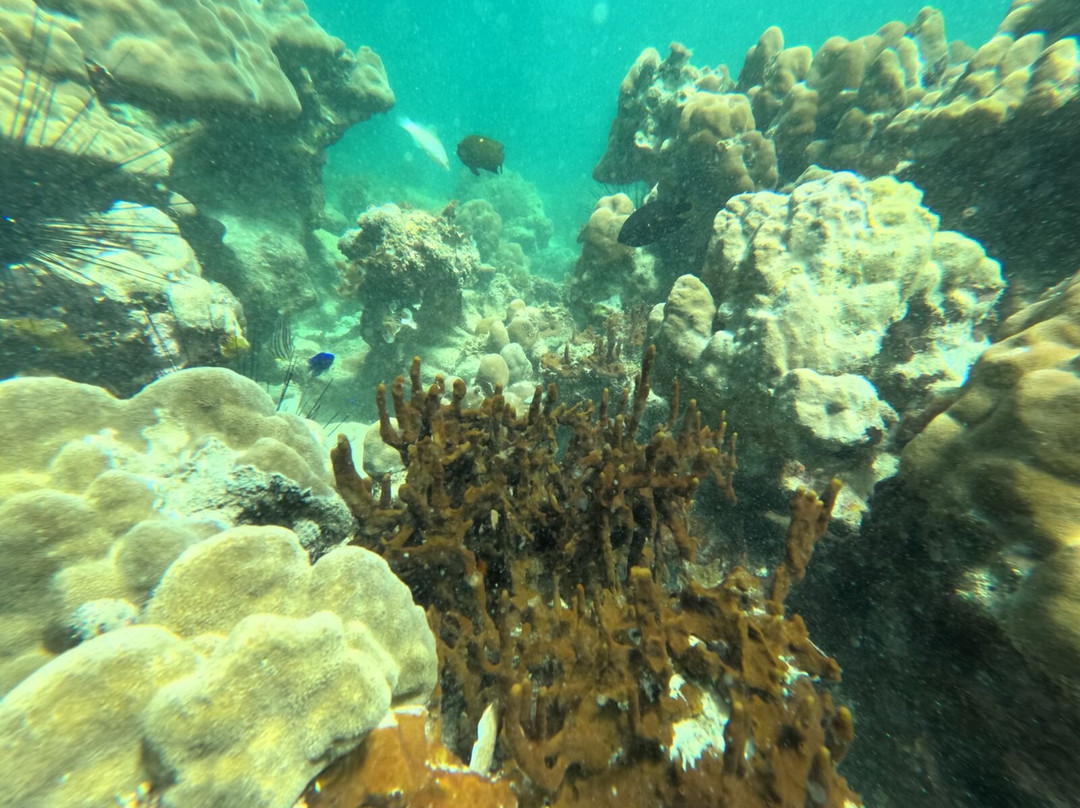 Batam Snorkeling Tour-Tembesi必去景点