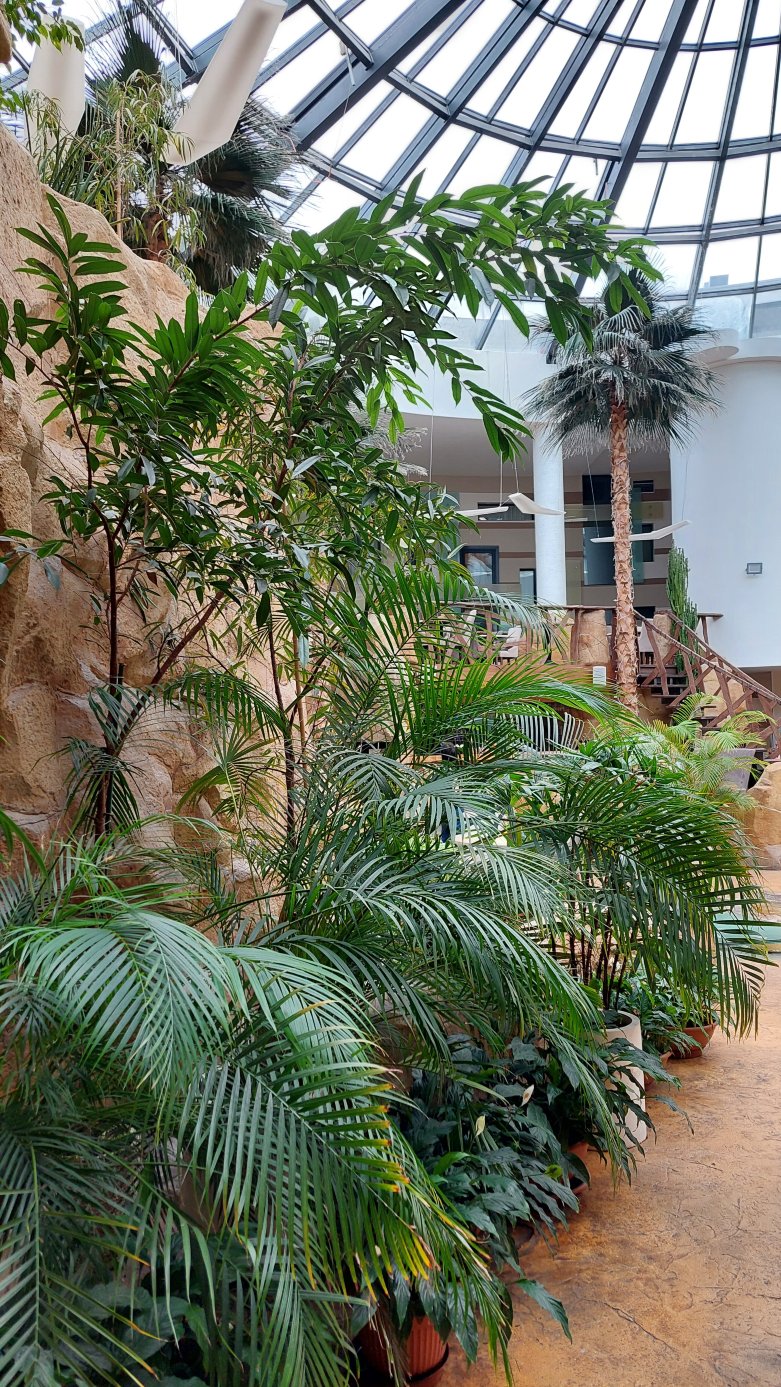 Spa Hotel Flores Gydyklos Kambariai-度假村/酒店