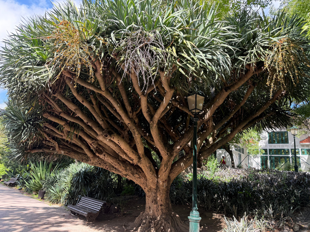 Jardim Da Estrela Park-里斯本必去景点