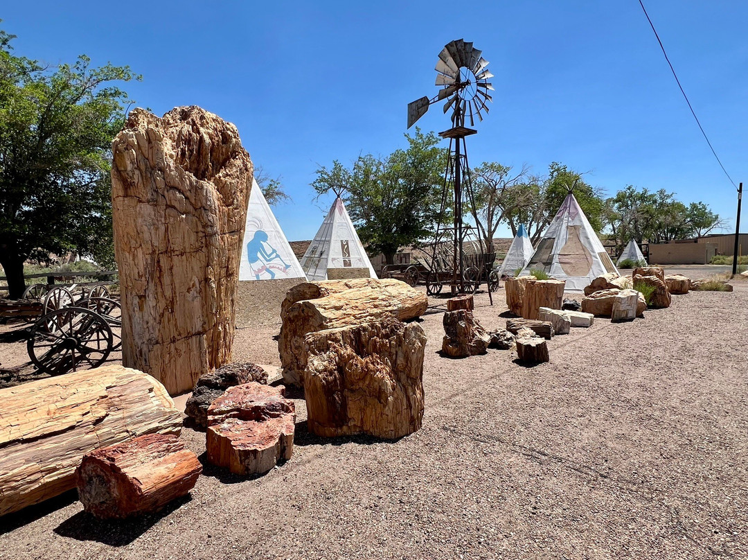 Geronimo's Trading Post-霍尔布鲁克必去景点