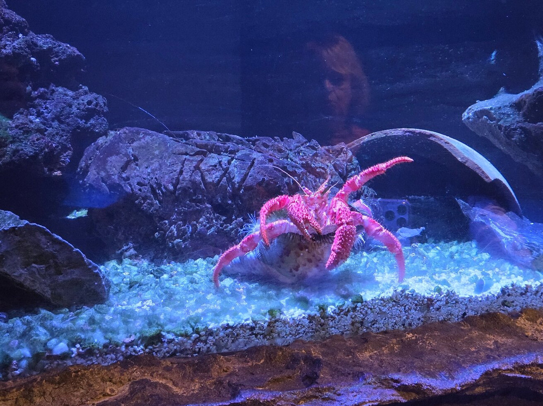热那亚水族馆-热那亚必去景点