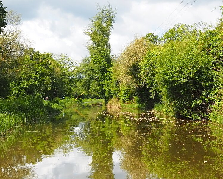 Wey & Arun Canal Trust-Loxwood必去景点
