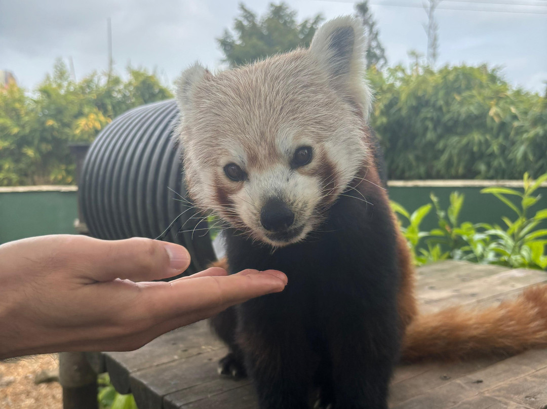 Shepreth Wildlife Park-Shepreth必去景点