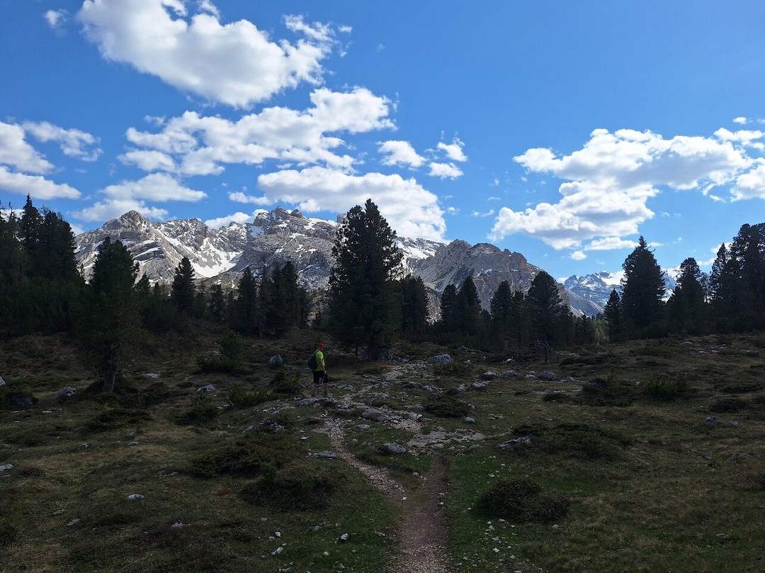 Centro Visite Parco Fanes-Sennes-Braies San Vigilio in Marebbe-San Vigilio必去景点