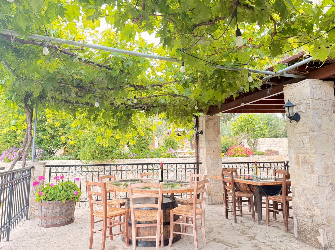 Tsangarides Winery-帕福斯必去景点