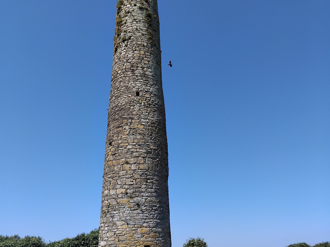 Scattery Island Tours-Kilrush必去景点