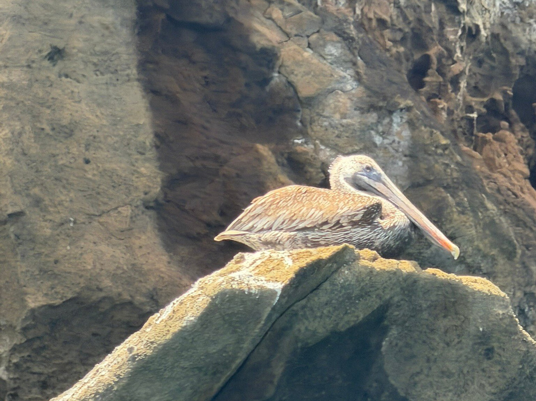 Bartolome Island, Galapagos, Ecuador-Bartolome必去景点