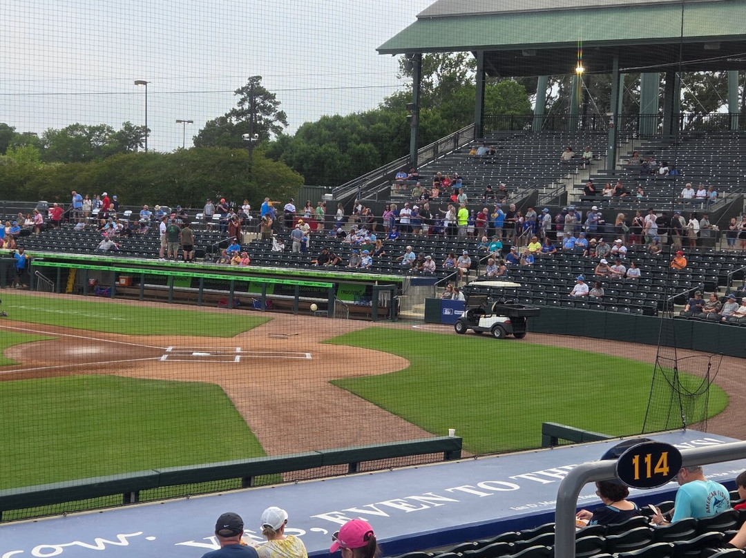 Myrtle Beach Pelicans-美特尔海滩必去景点