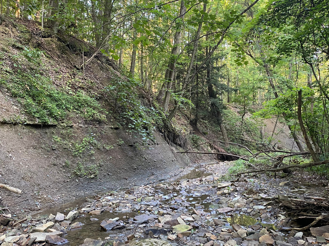 Lake Metroparks Penitentiary Glen Reservation-Kirtland必去景点