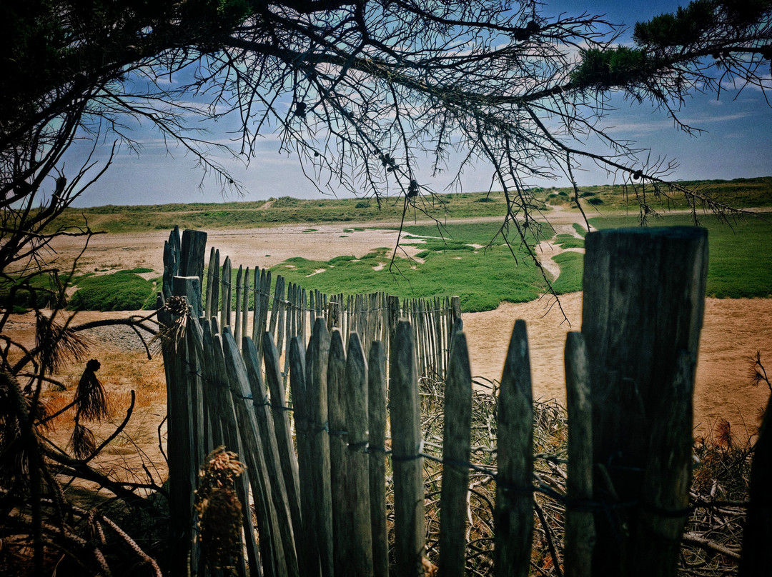 Pointe D'Agon-Agon-Coutainville必去景点