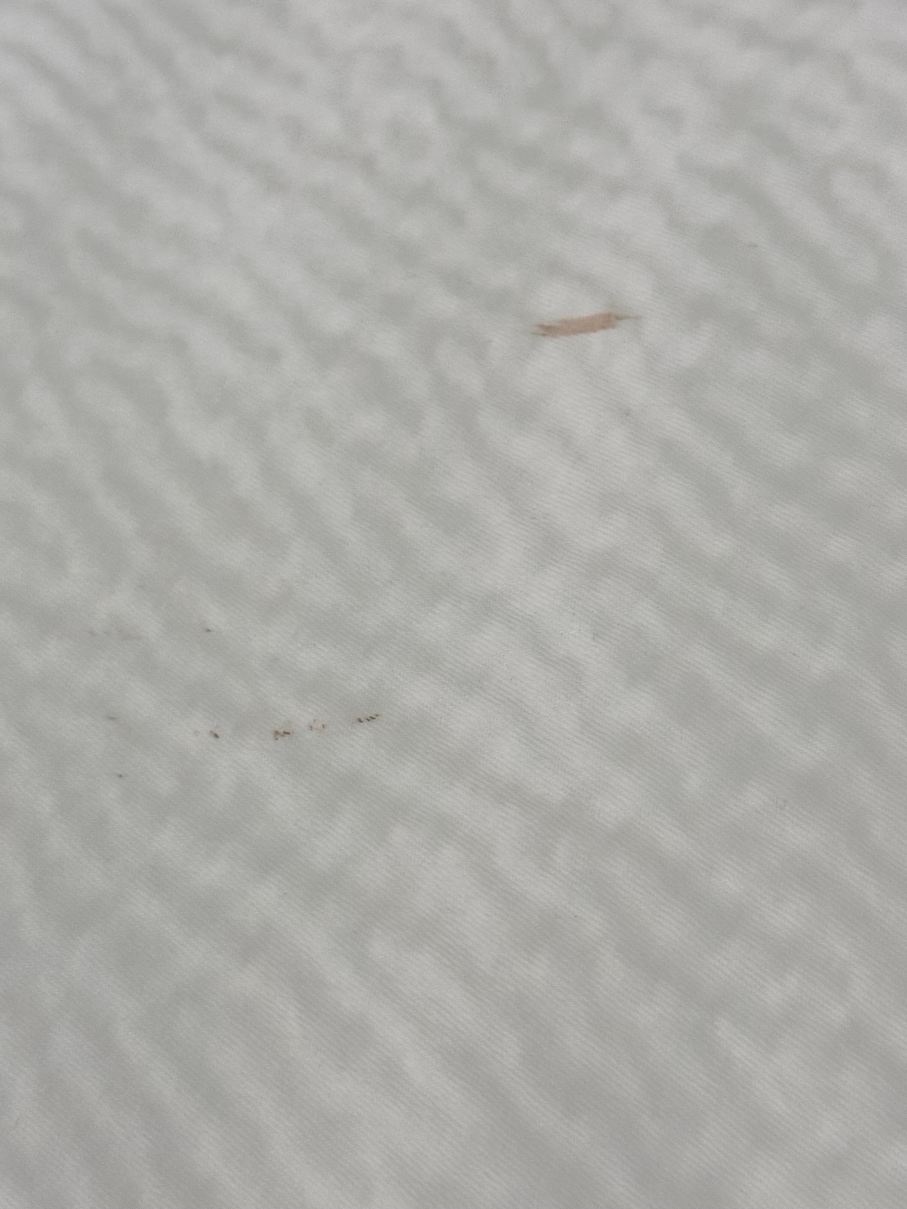 切罗基万枫酒店-客卧
