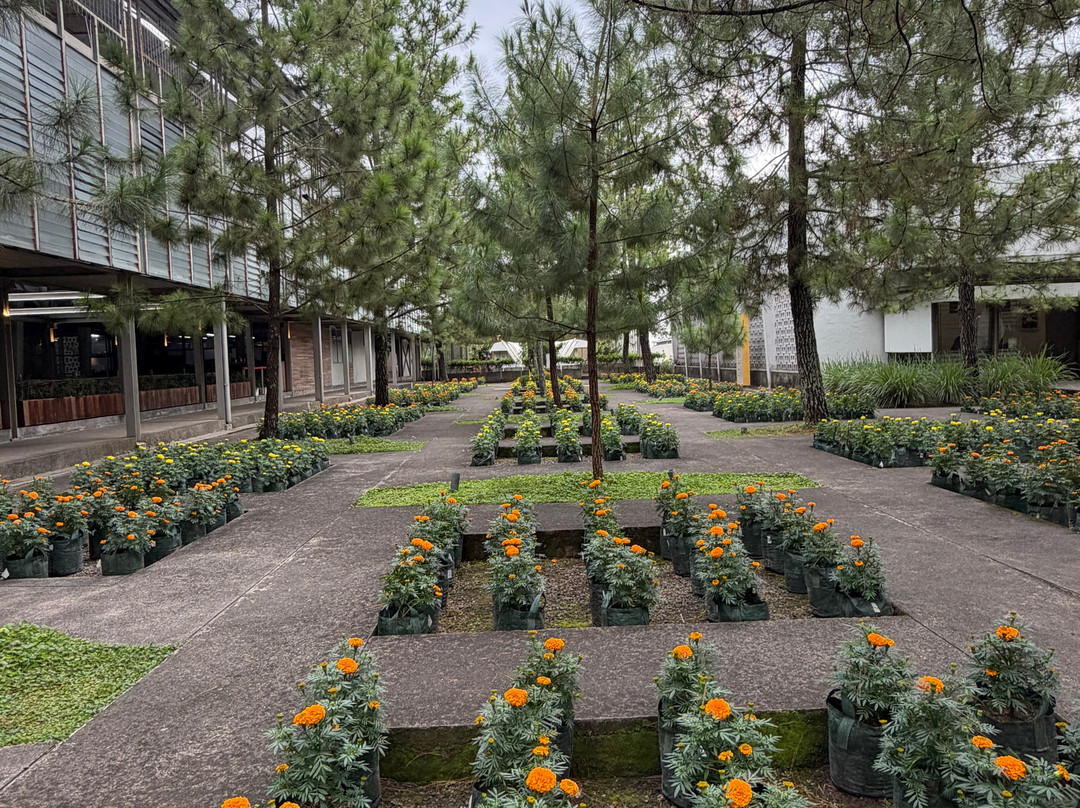 Rumah Atsiri Indonesia-Tawangmangu必去景点