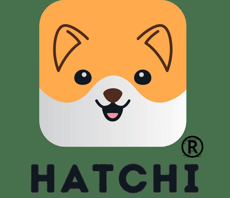 Hatchi - Transporte de mascotas-Valencia d'Aneu必去景点