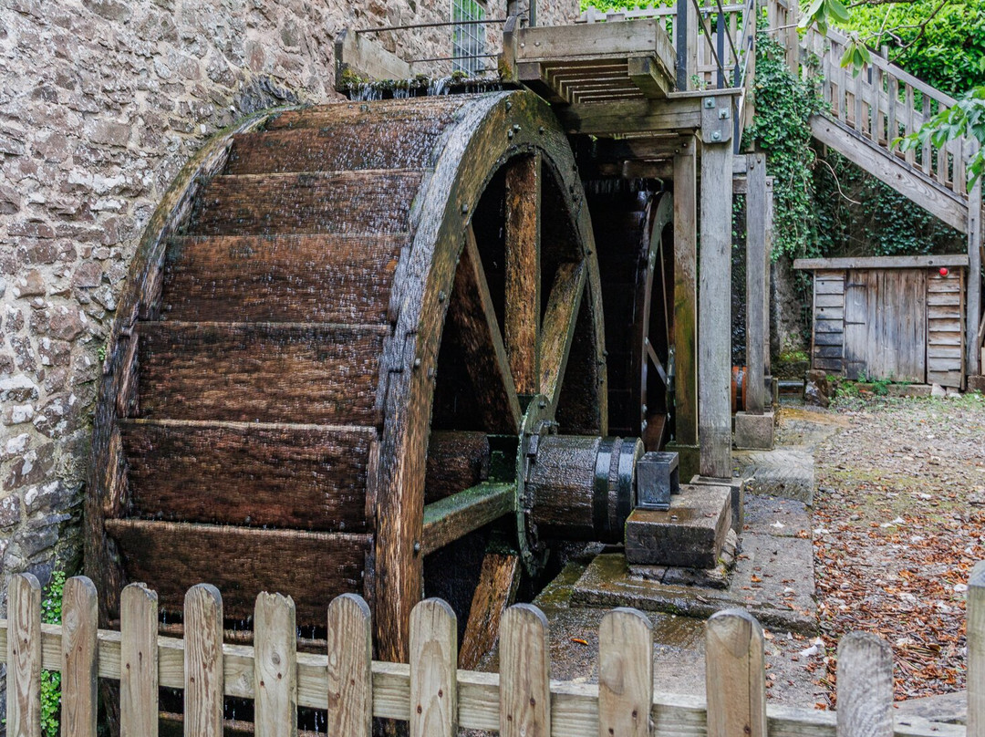 Dunster Castle-Dunster必去景点
