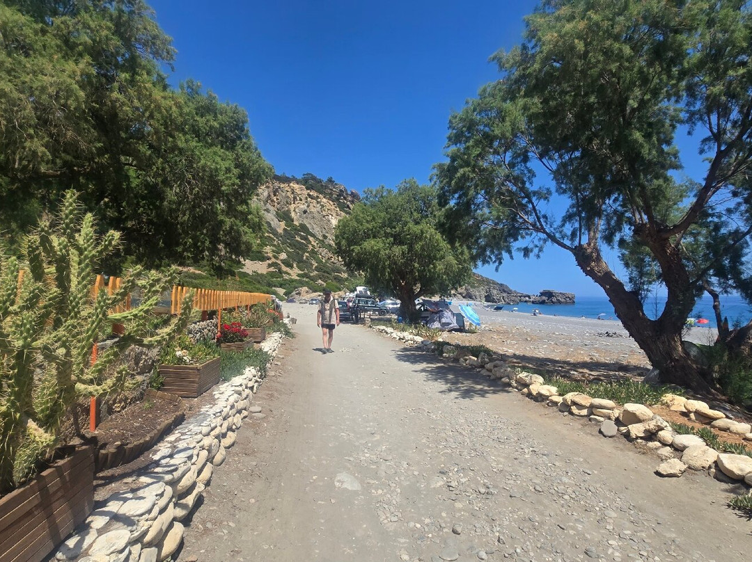 Sougia Beach-Sougia必去景点