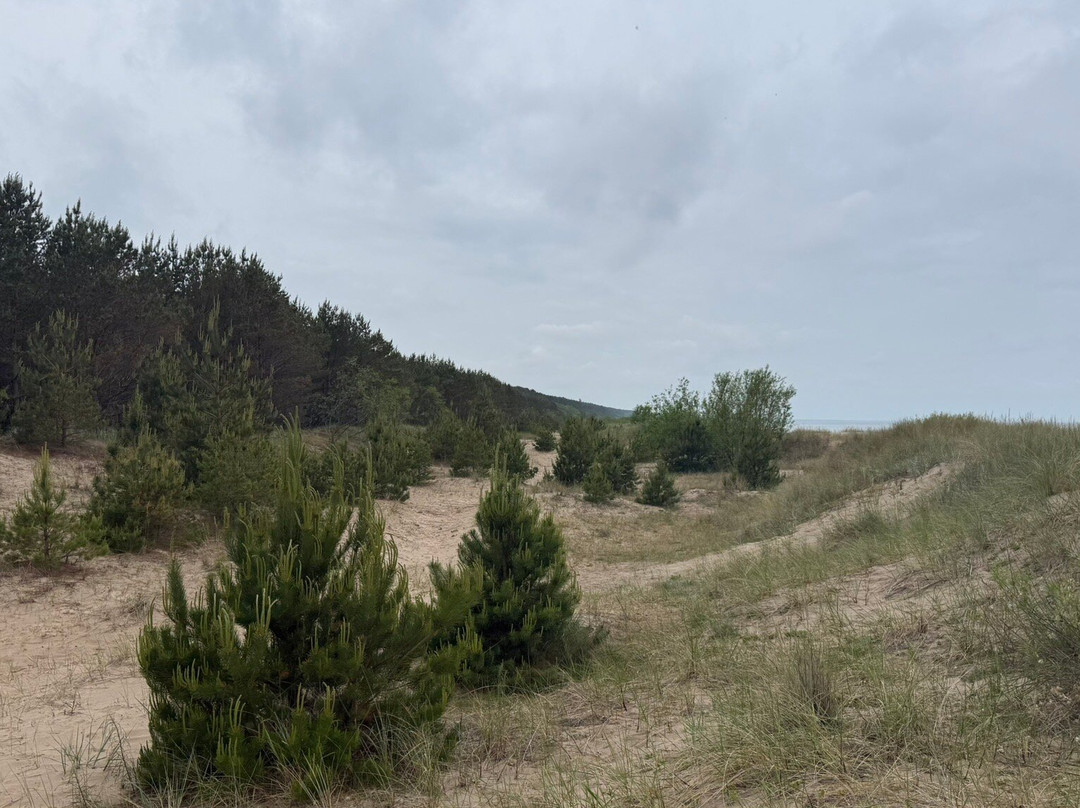 Jurmala Beach-尤尔马拉必去景点
