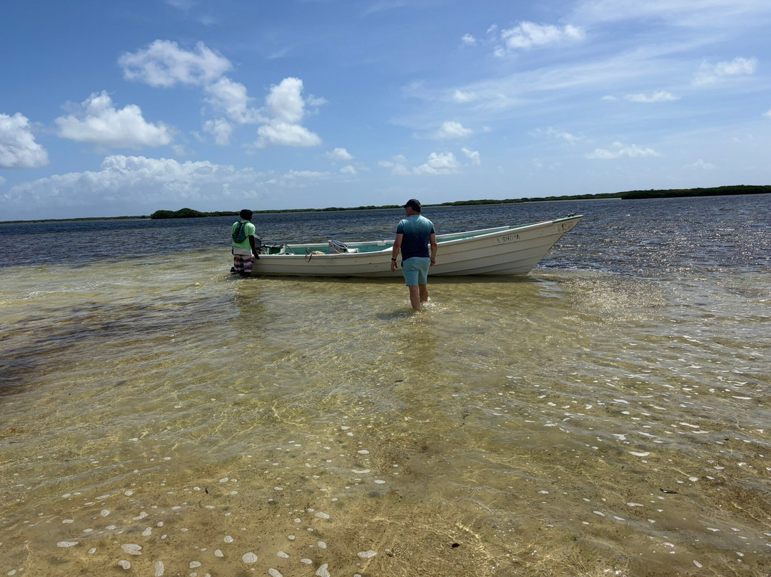 Barbuda Leisure Day Tours-巴布达必去景点