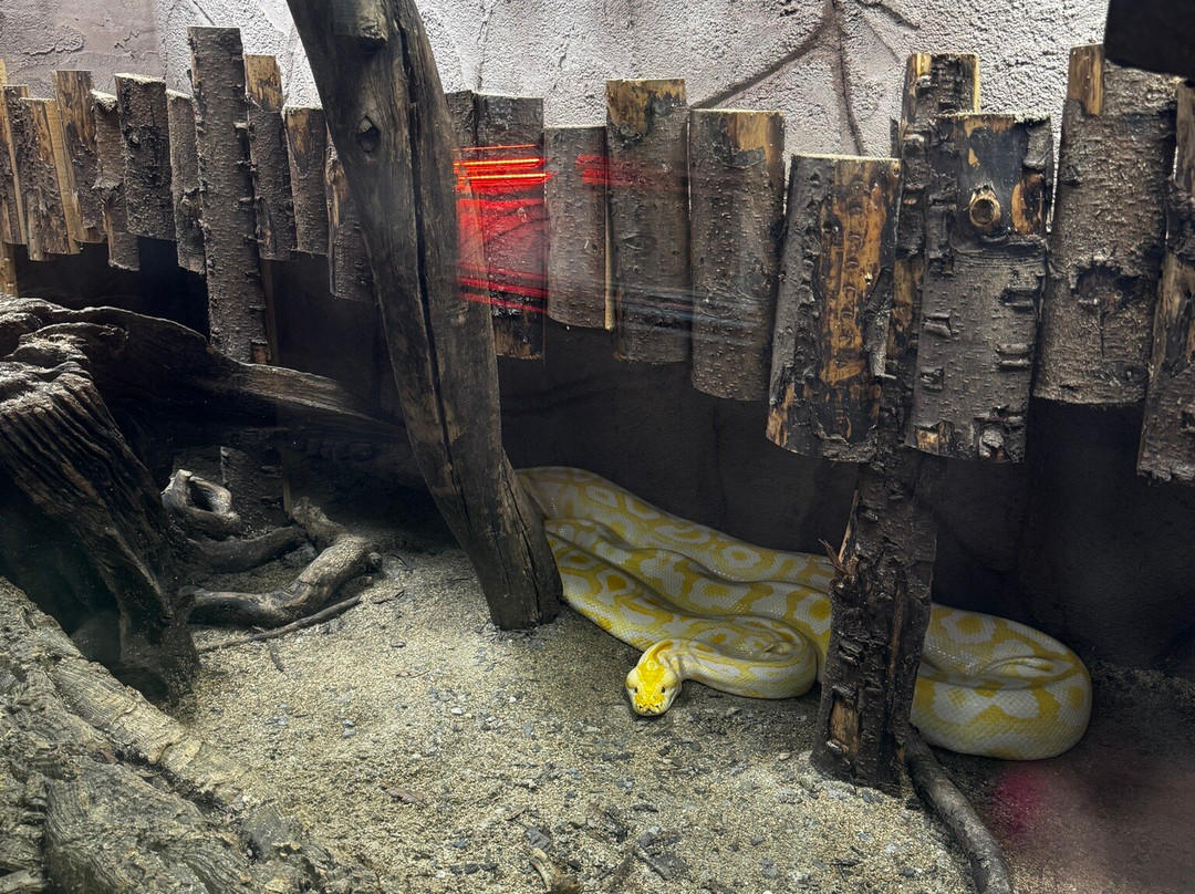 The National Reptile Zoo-基尔肯尼必去景点