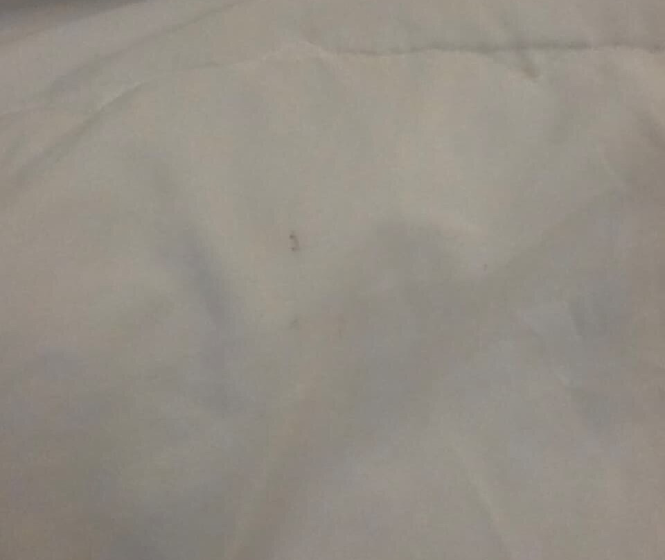 华拉博卡奇卡 - 全包式主图