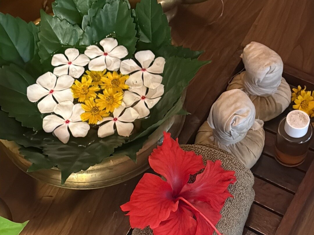 阿奈卡蒂斯特尔灵酒店主图