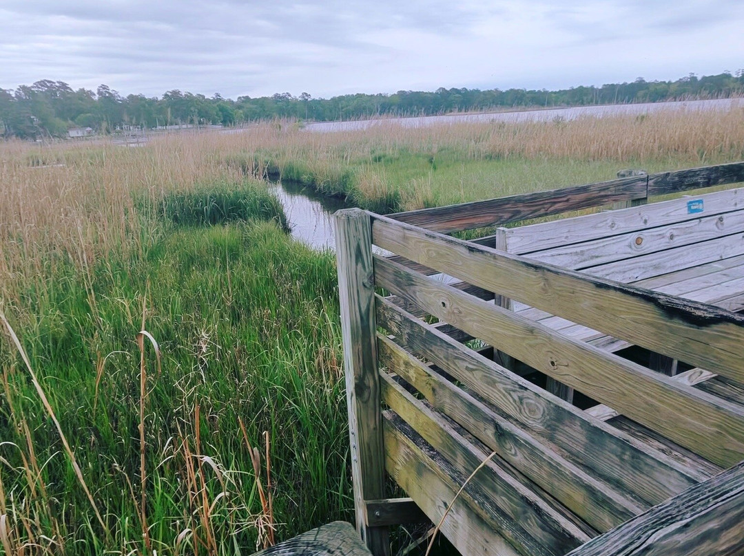 Sturgeon City Park-杰克森维尔必去景点