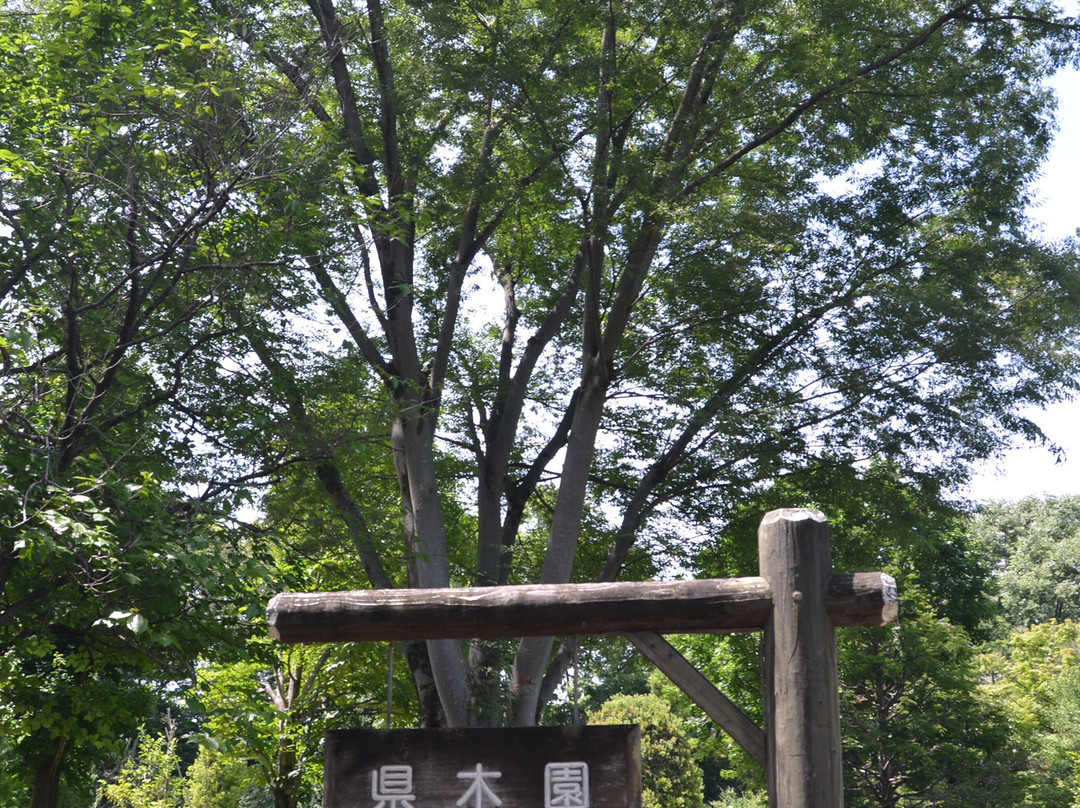 Kyodo No Mori Museum-府中市必去景点
