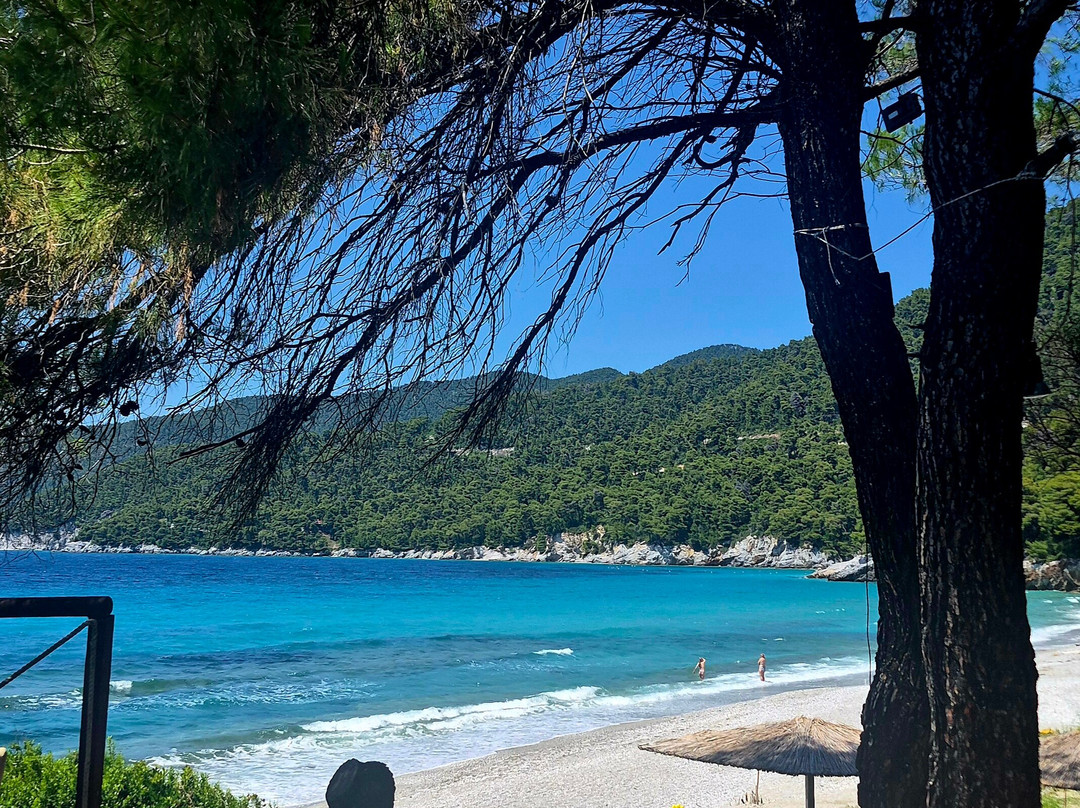Milia Beach-斯科派洛斯必去景点