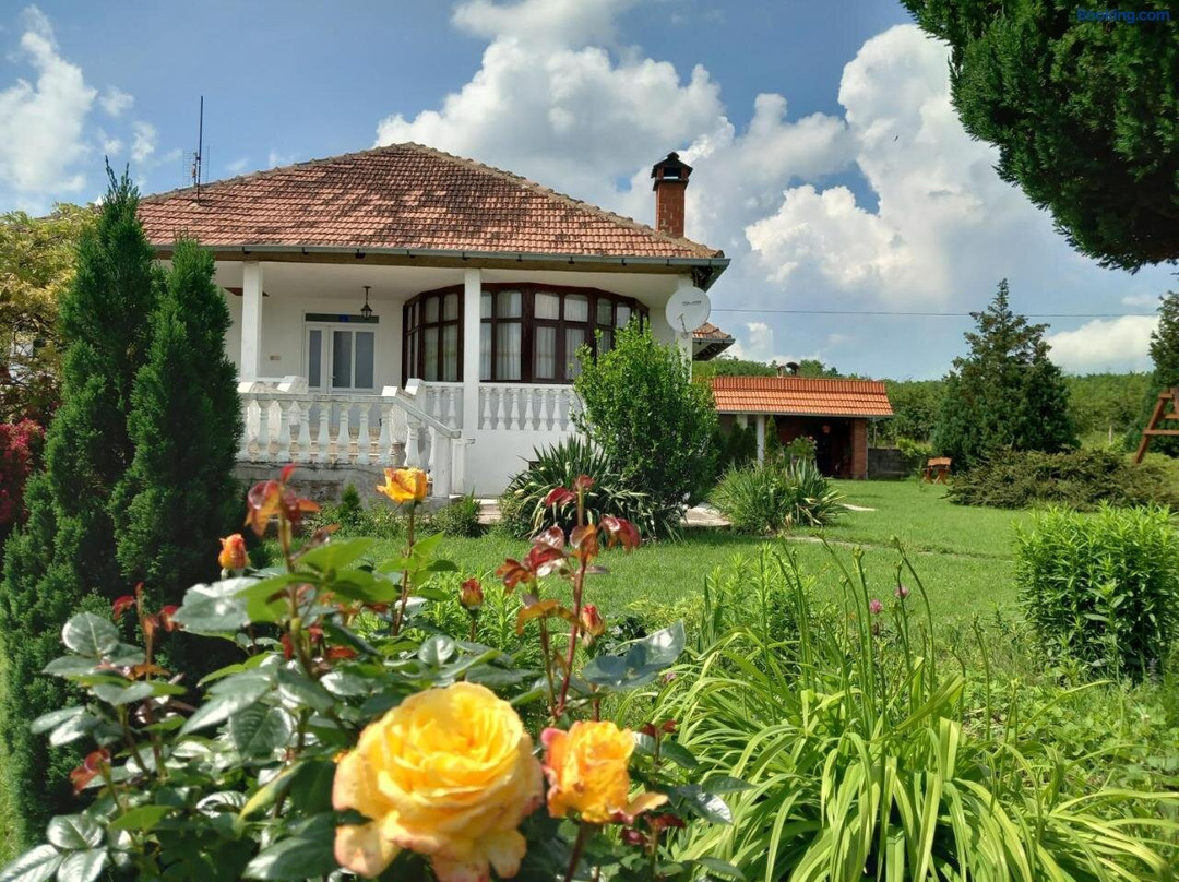 Apartmani Cosic
