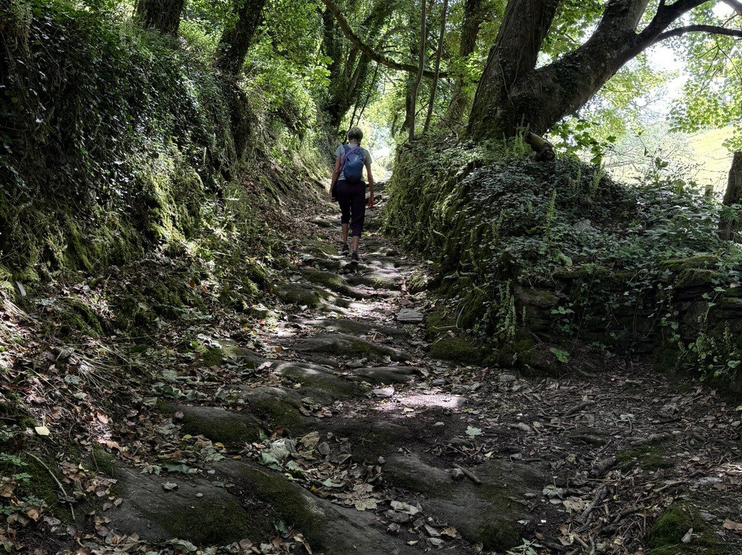 Kingswear & Brownstone Battery Walk-Kingswear必去景点