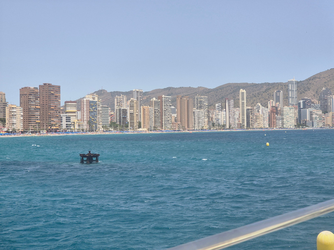 Isla de Benidorm-贝尼多姆必去景点