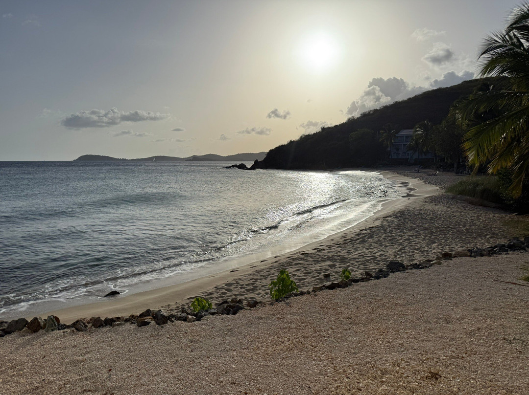 The Longboard - St. Thomas