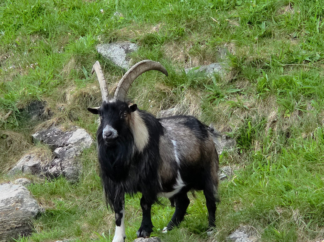 Helgoy Skyssbat-Helgøy i Ryfylke必去景点