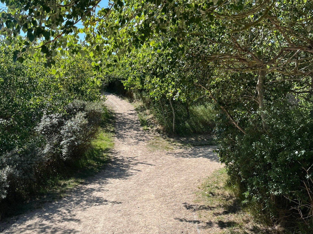 The Dunes of Bredene-布雷德内必去景点