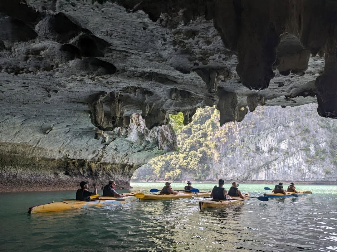Cat Ba Bay-Ha Long City必去景点