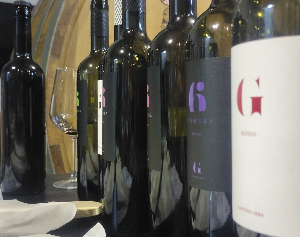 Tour vigna e degustazione in cantina - Cantina GIba-Giba必去景点