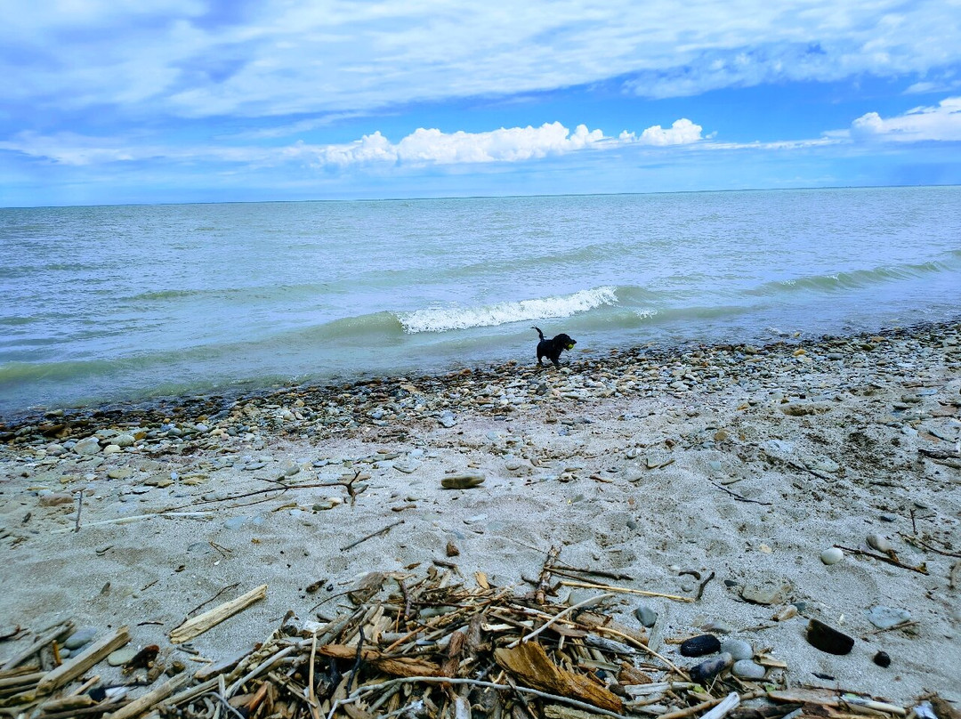 Geneva State Park-Geneva on the Lake必去景点