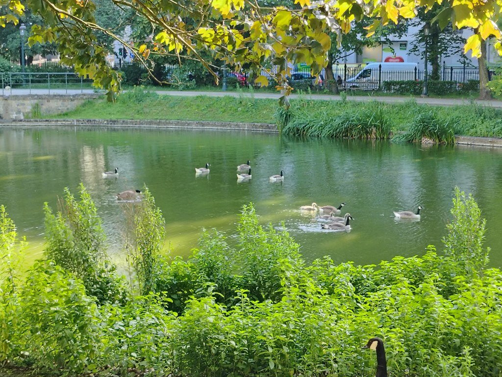 Leopold Park-布鲁塞尔必去景点